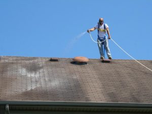 Guy on Roof Cleaning, Roof Cleaning Lexington,